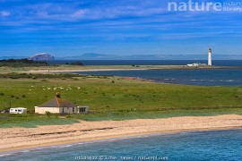 Barns Ness, South of Dunbar